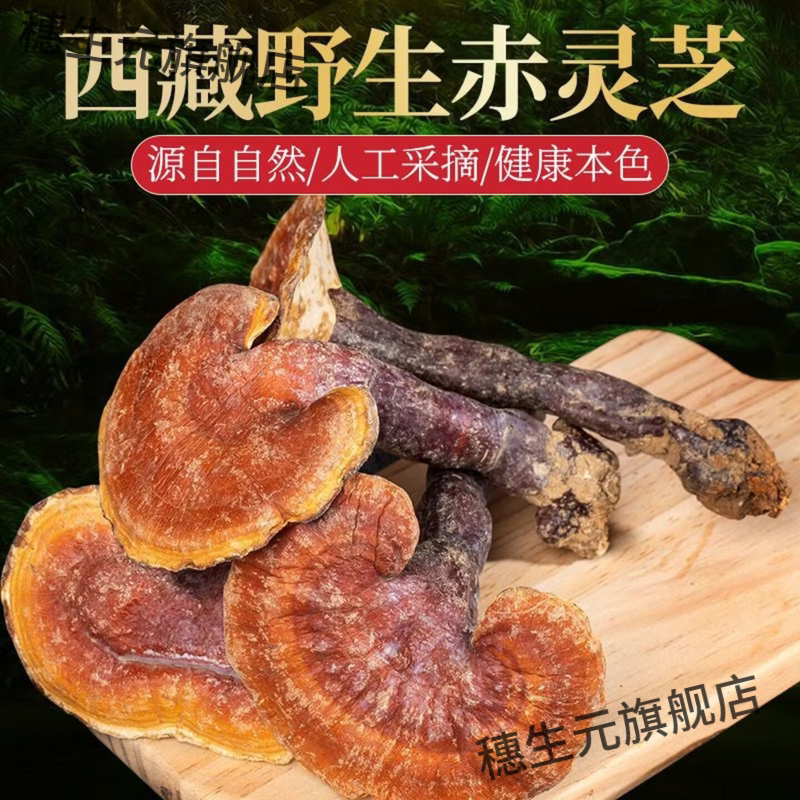 西藏野生赤灵芝整枝纯天然泡茶
