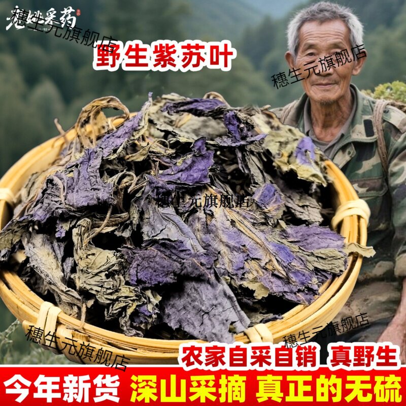 云南野生紫苏叶材泡水干