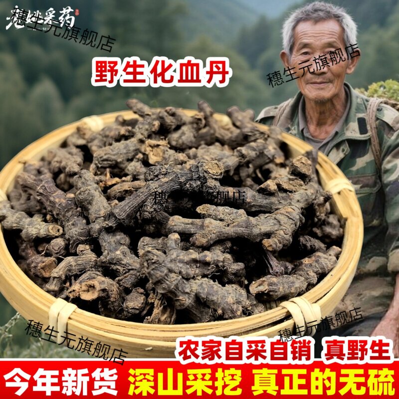 云南材化血丹当归柒七根