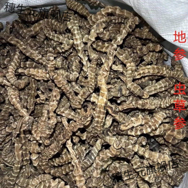 野生顶天柱不老草阳劲鞭材