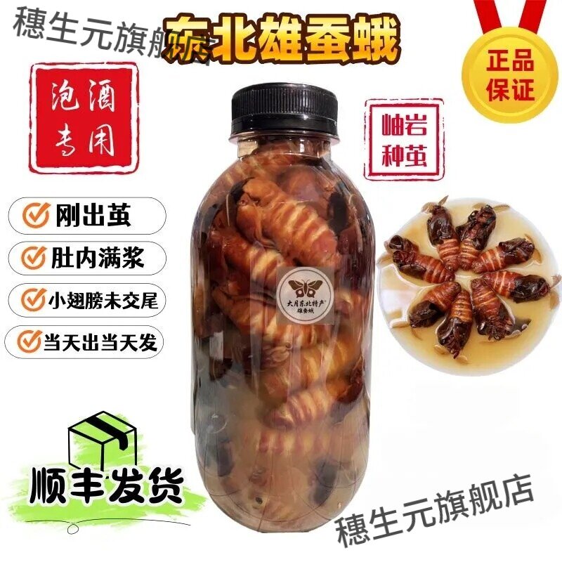 辽宁岫岩正宗雄蚕蛾公蛾泡酒料