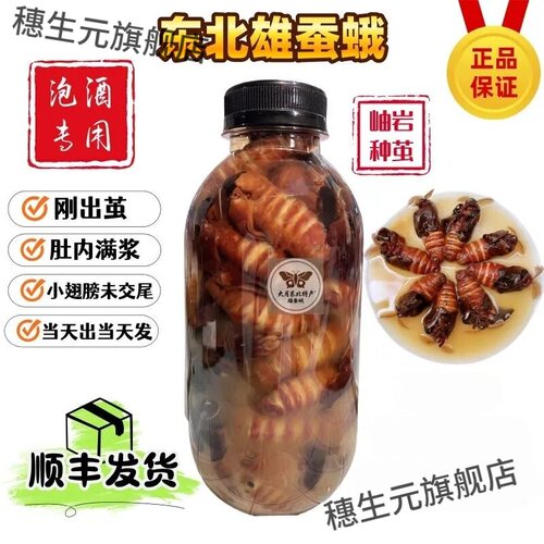 辽宁岫岩正宗雄蚕蛾公蛾泡酒料