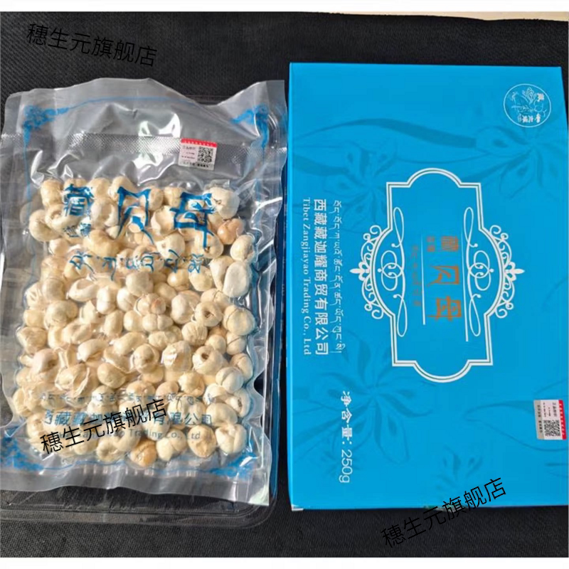 西藏高原特产正宗大颗粒贝