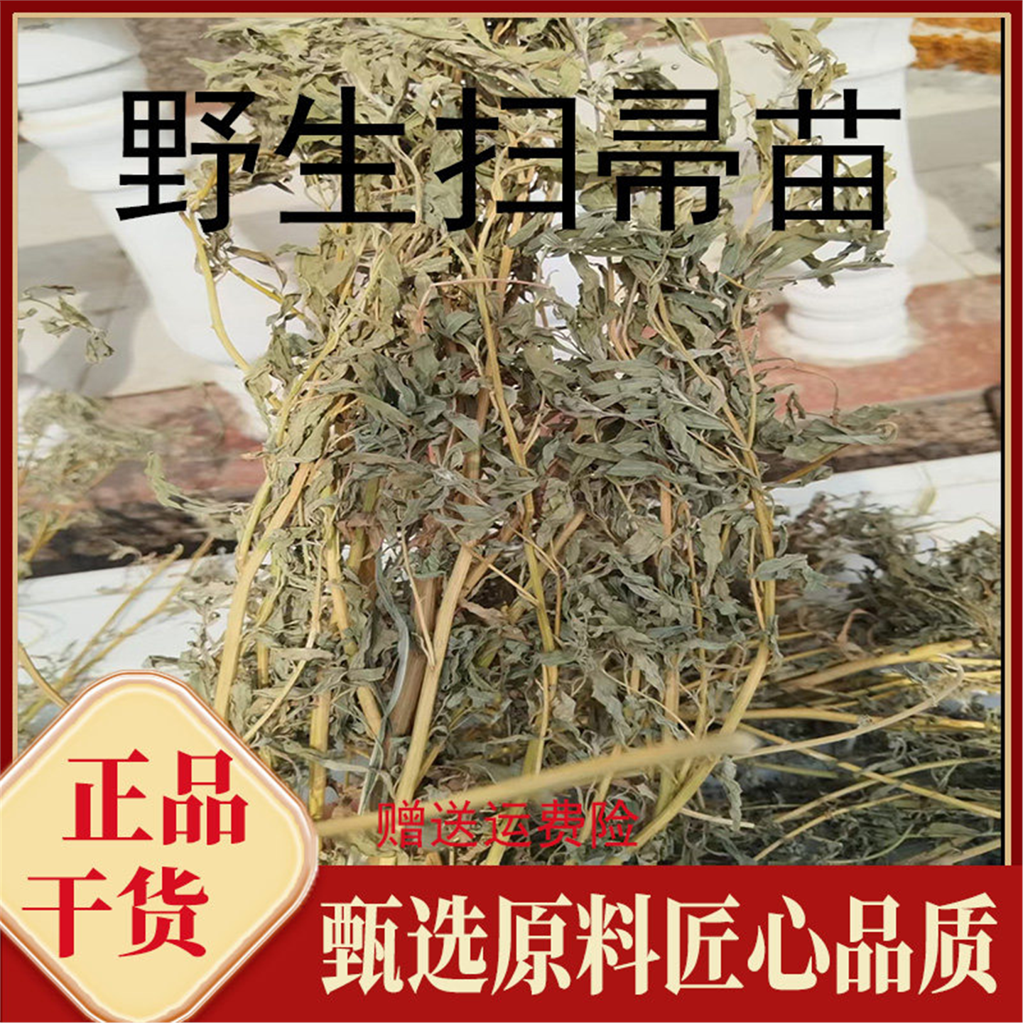 扫帚苗无硫精选自然晒干野