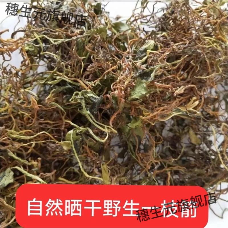 干一支箭野生枝自然晒蛇舌
