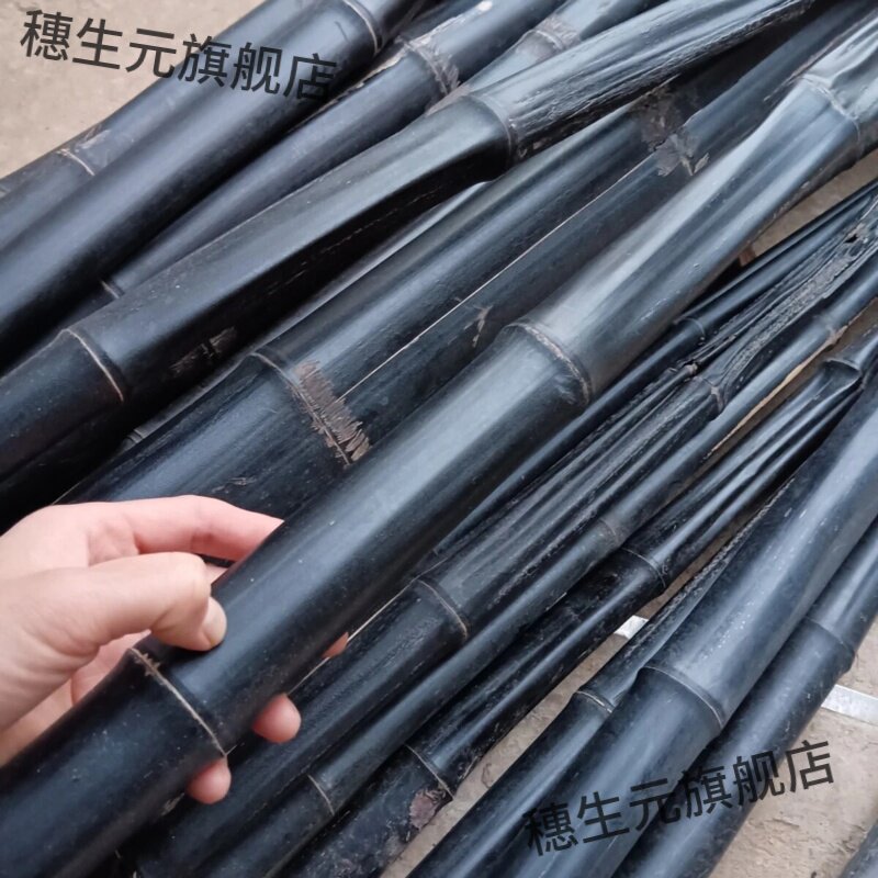 仙人杖退秧竹瘪子仗菌化天