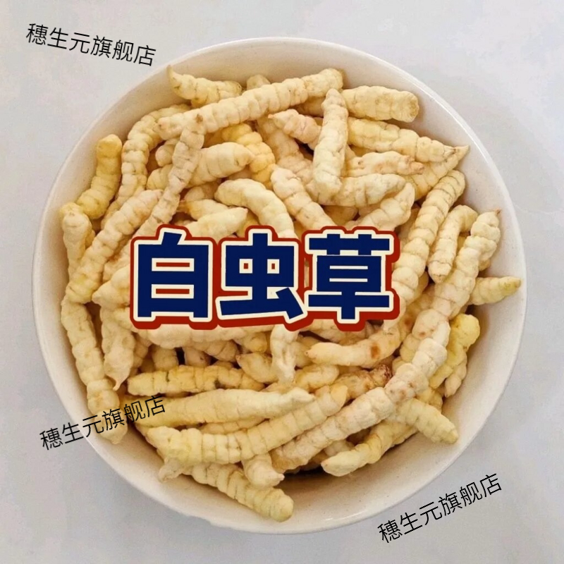 特级白虫草泽兰根秋冬煲汤