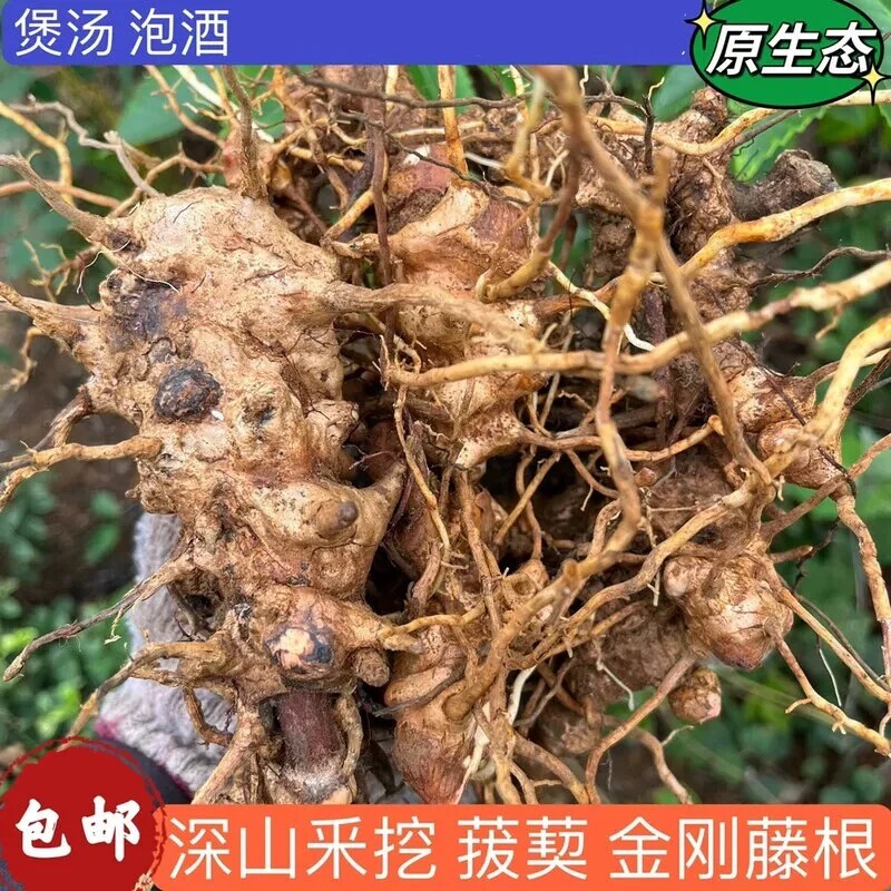 野生现挖金刚藤根煲汤泡酒