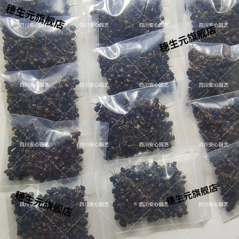 野生龙葵果干中药材泡酒煎药