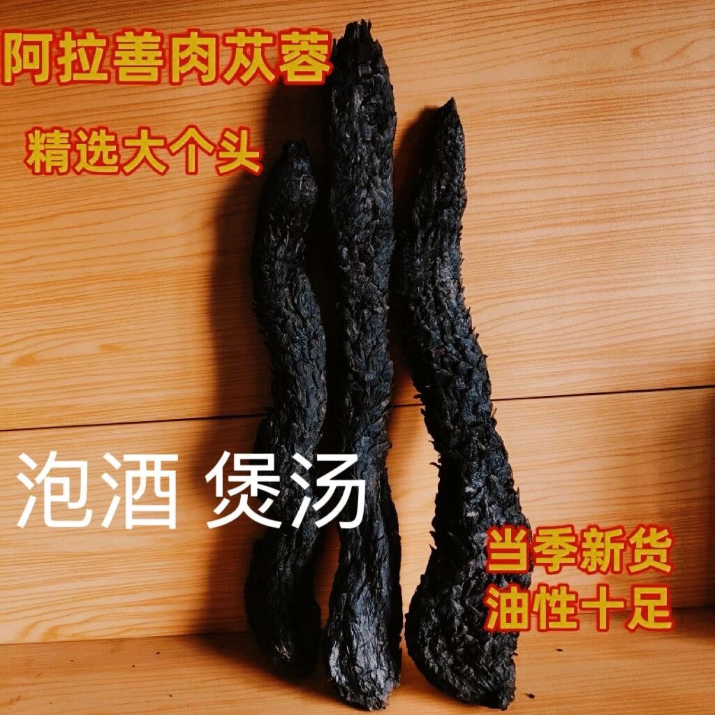 肉苁蓉材阿拉善整根油锁阳