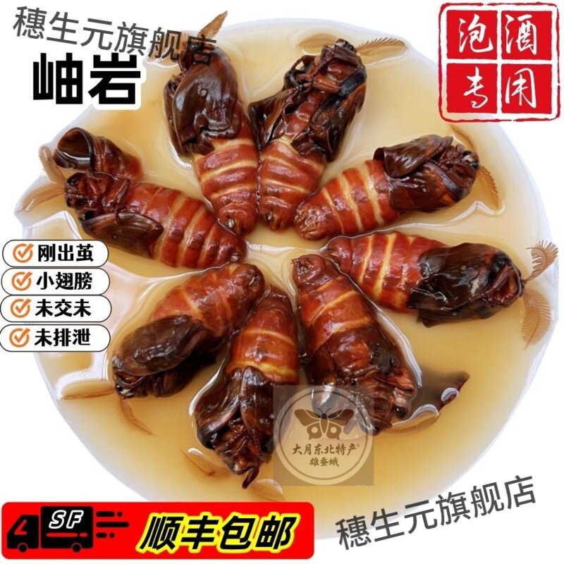 野生雄蚕蛾公蛾泡酒料正宗岫岩