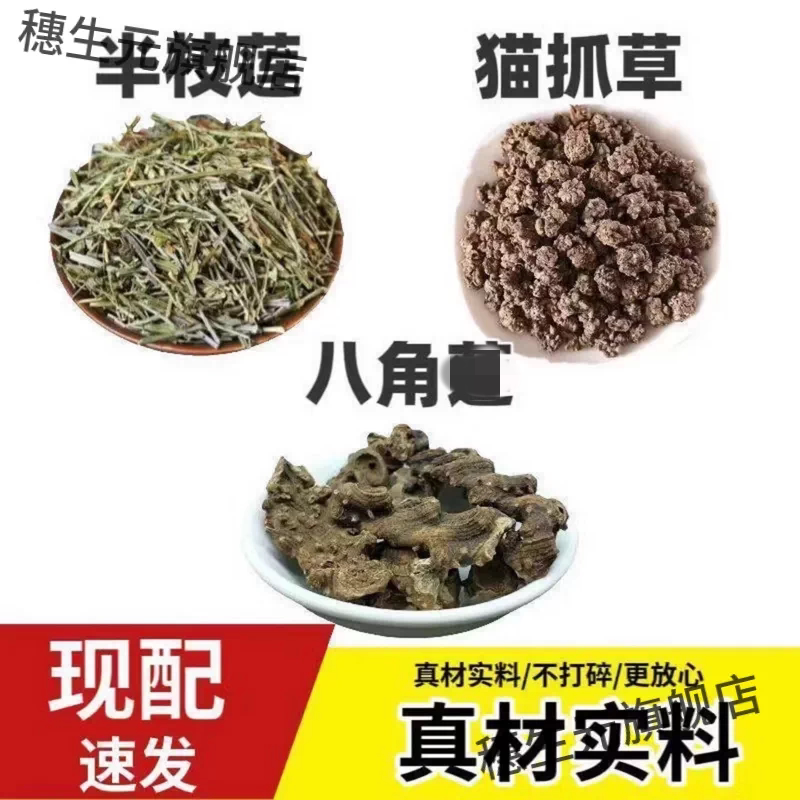 八角连半枝莲猫爪草等原料