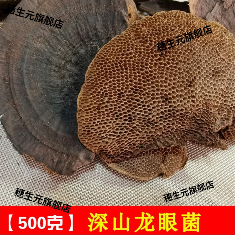 广西深山野生龙眼菌新货