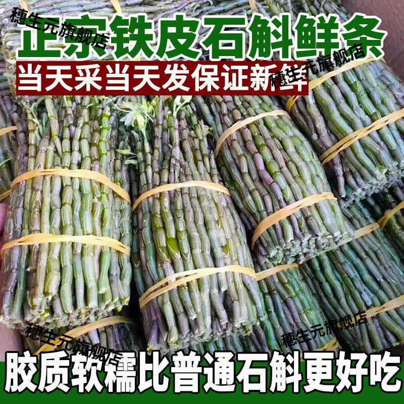 雁荡山露天四年生石斛鲜条可食用