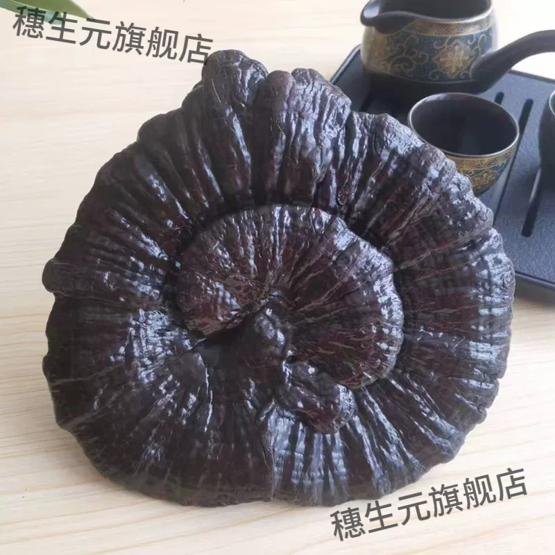 黑灵芝长白山深半野生整朵