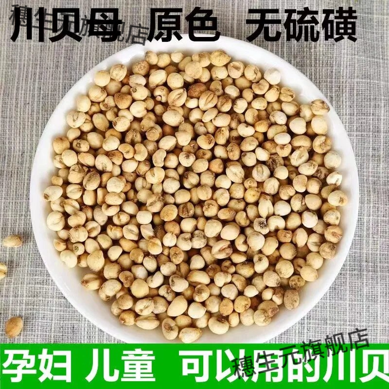 原色无硫川贝母小颗粒细粉