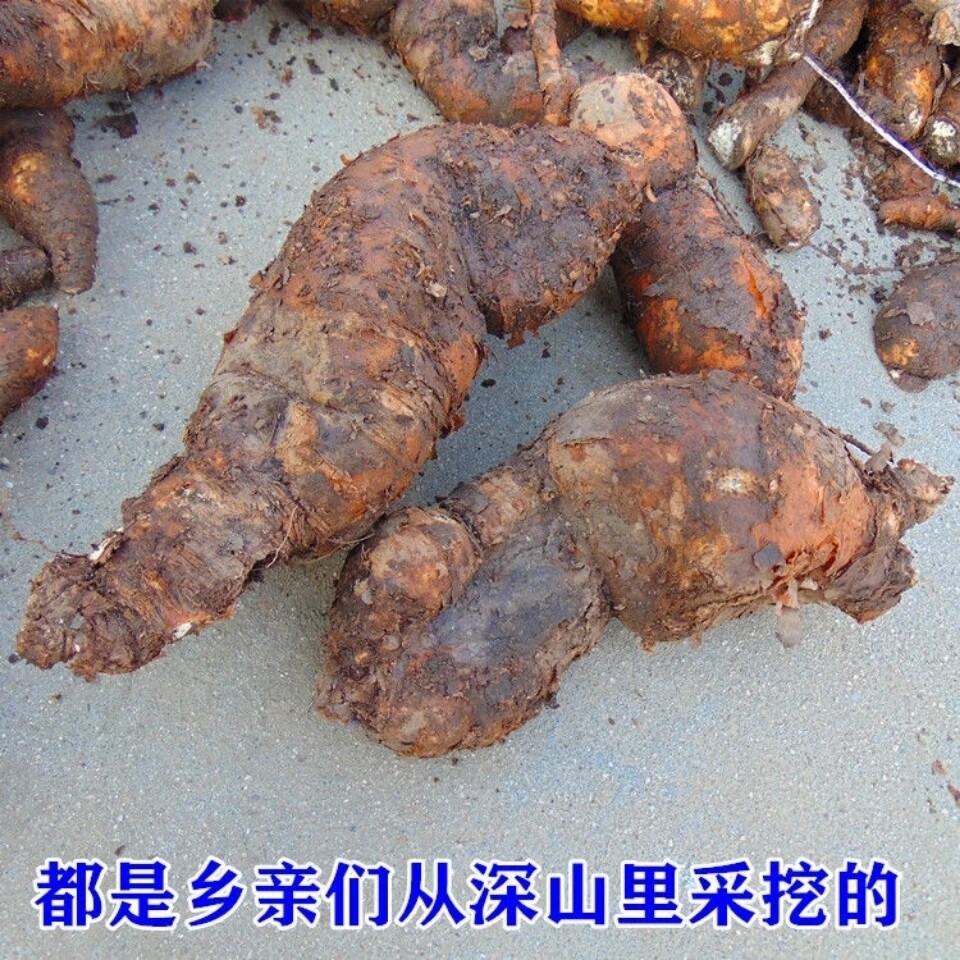 贵州野生新鲜首乌干片包邮
