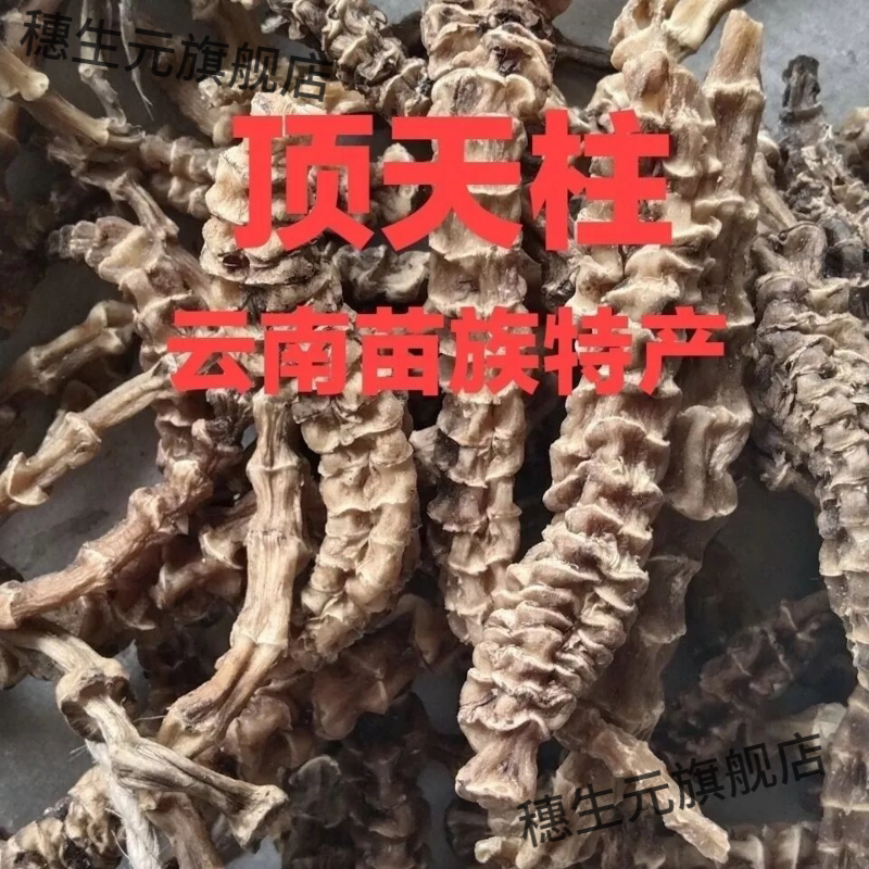 野生顶天柱不老草阳劲鞭材