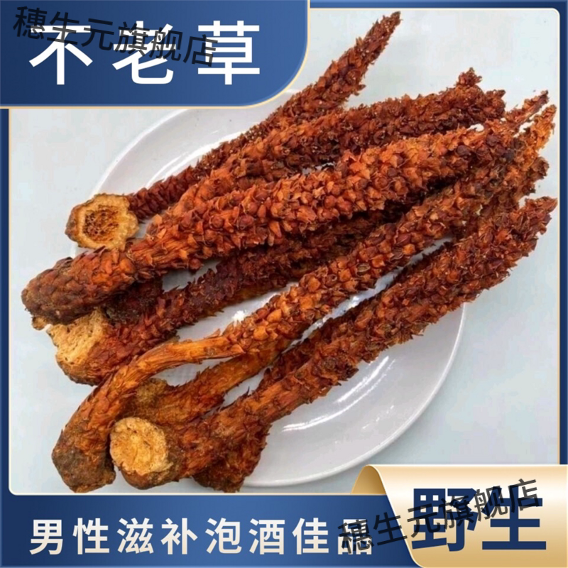 东北长白山野生不老草苁