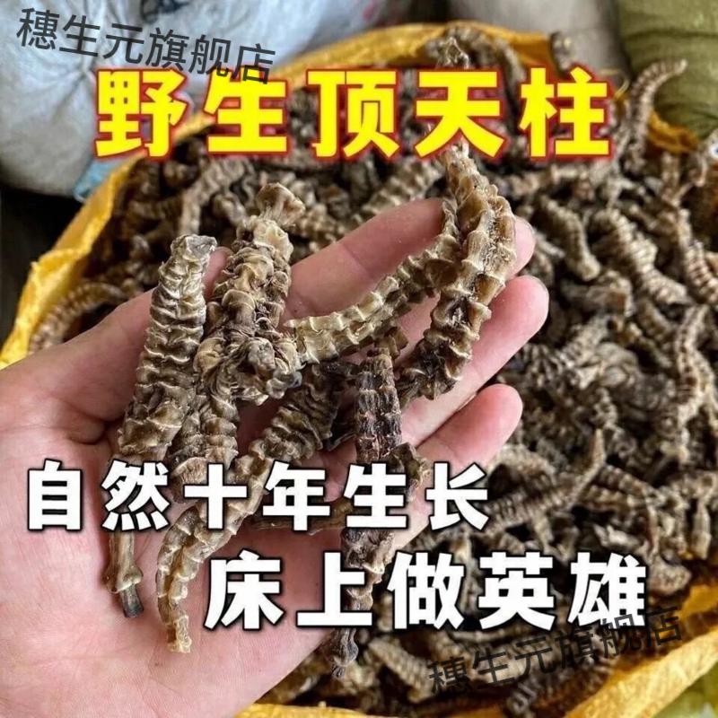 顶天柱阳鞭劲野生中草药泡酒料