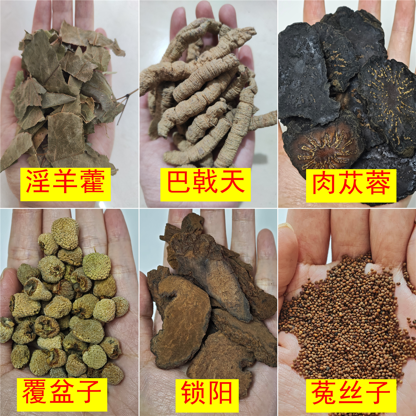 淫羊藿巴戟天肉苁蓉覆盆子