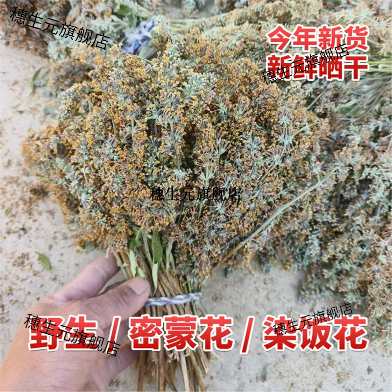 野生密蒙花 染饭花纯植物黄饭花染料云南特产茶 五色米饭粽子饭团