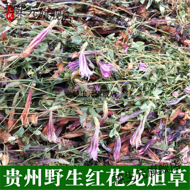 贵州野生红花龙胆草中药材
