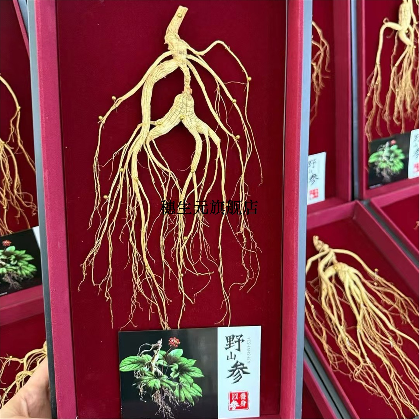 长白山人参礼盒林下品干东