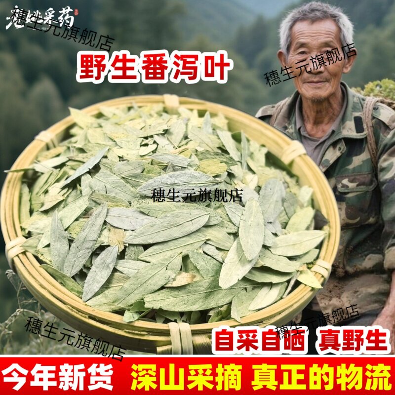 云南野生番泻叶特级天然材