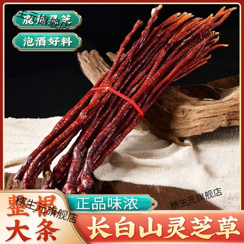 长白山鹿角灵芝足干泡酒