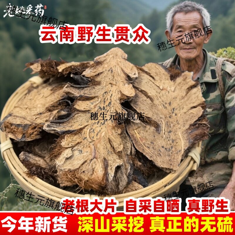 云南野生贯众材精选节绵