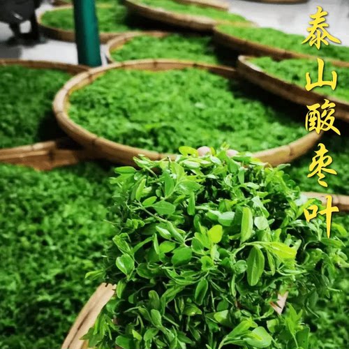 山东泰安特产酸枣叶茶2026新茶
