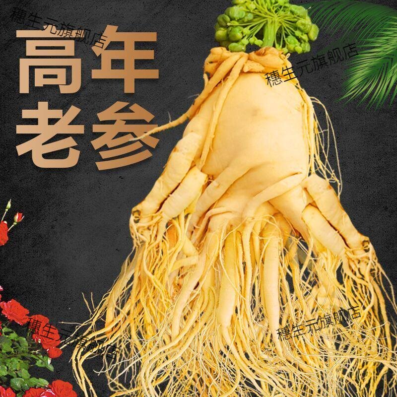【正宗长白山人参鲜参】东北特产煲汤泡水泡酒人参产地发货批发