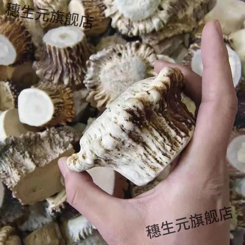 梅花鹿鹿角帽不打粉原生态直发