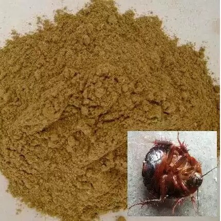 土元地鳖虫粉500g包邮