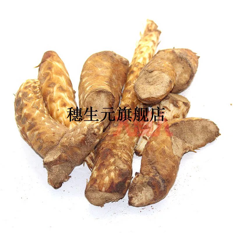 肉苁蓉新鲜材整根内蒙古阿
