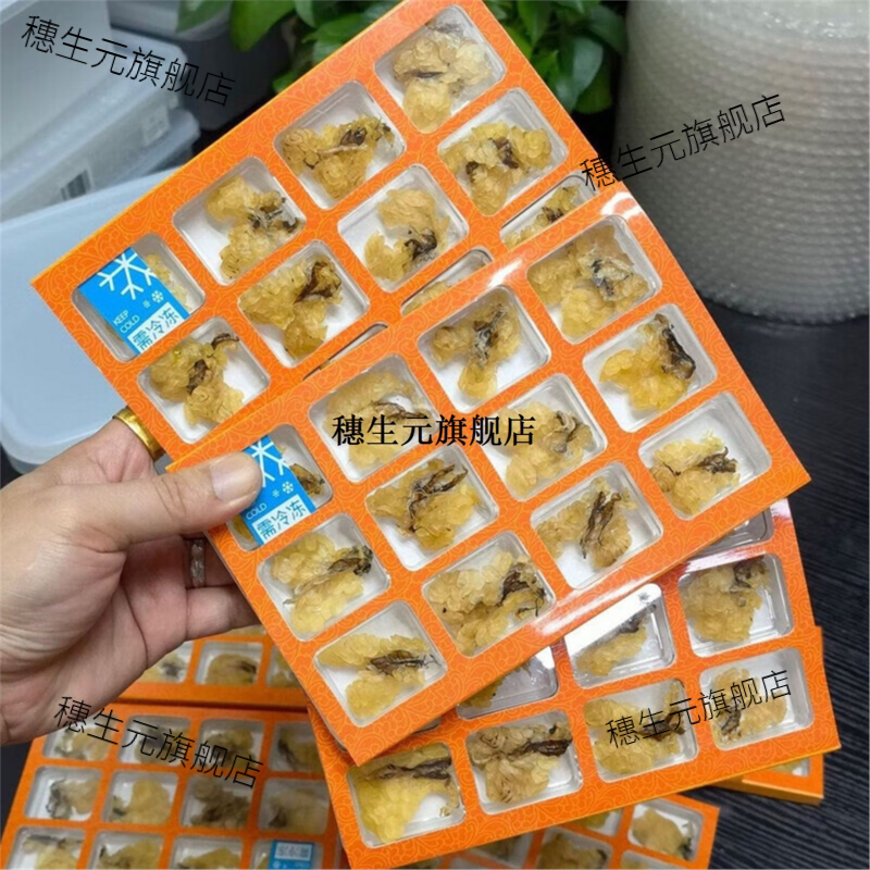 长白山特级雪蛤油木瓜味