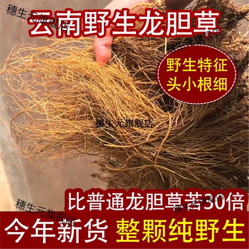 正宗云南野生龙胆草500g材