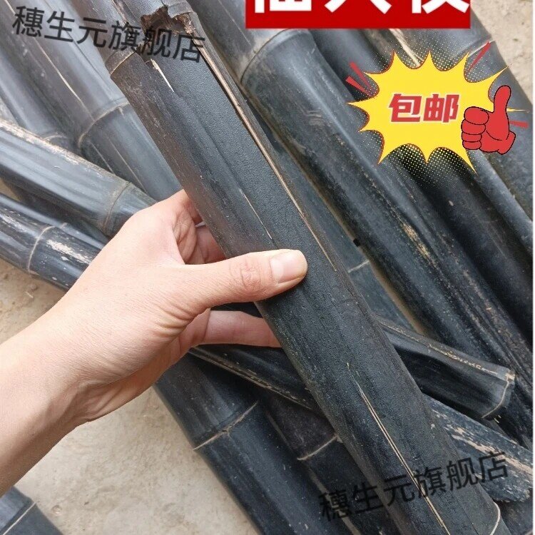 天然仙人杖去积水液可熬膏