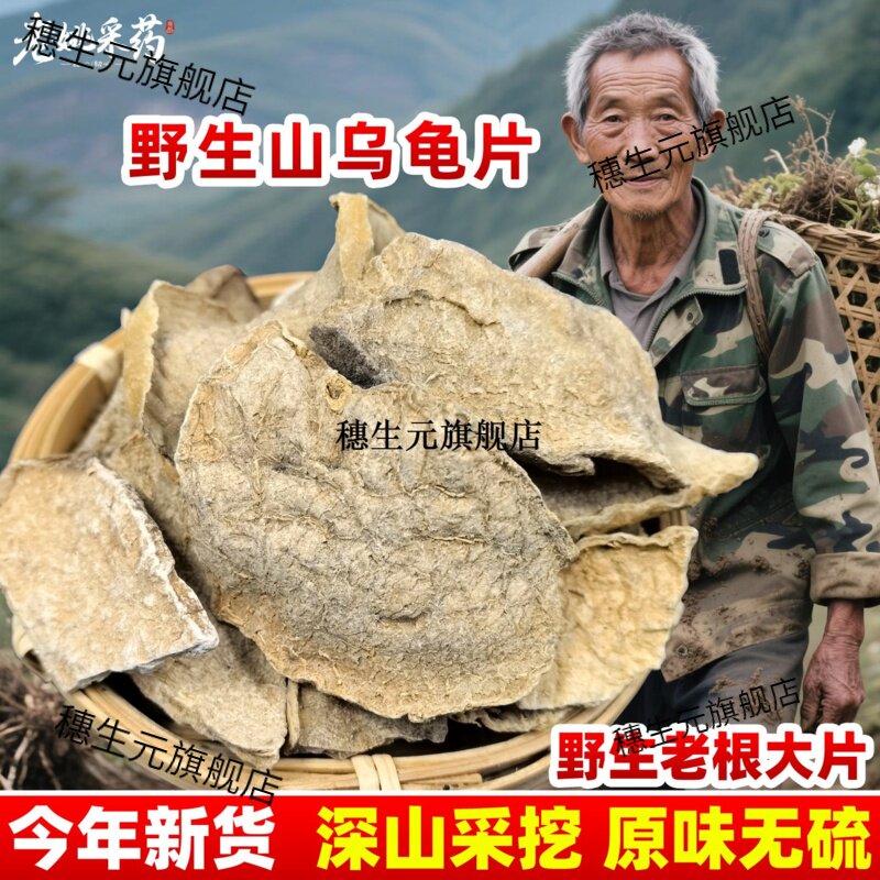 云南地不容材金换山乌龟