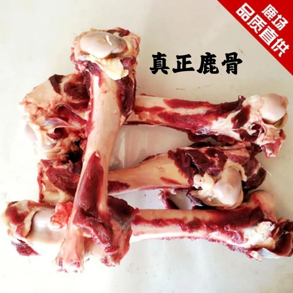 正宗梅花鹿鲜鹿骨加酒保鲜发货