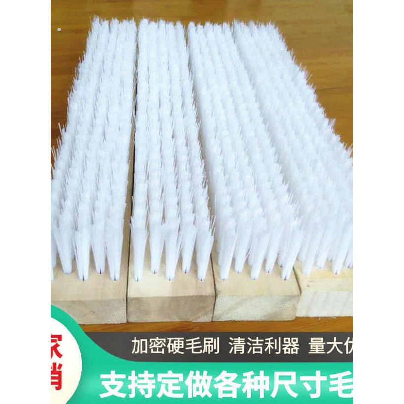 多排毛刷硬丝长毛六排塑料尼龙拉丝颗粒除水毛刷子工业硬毛刷排刷