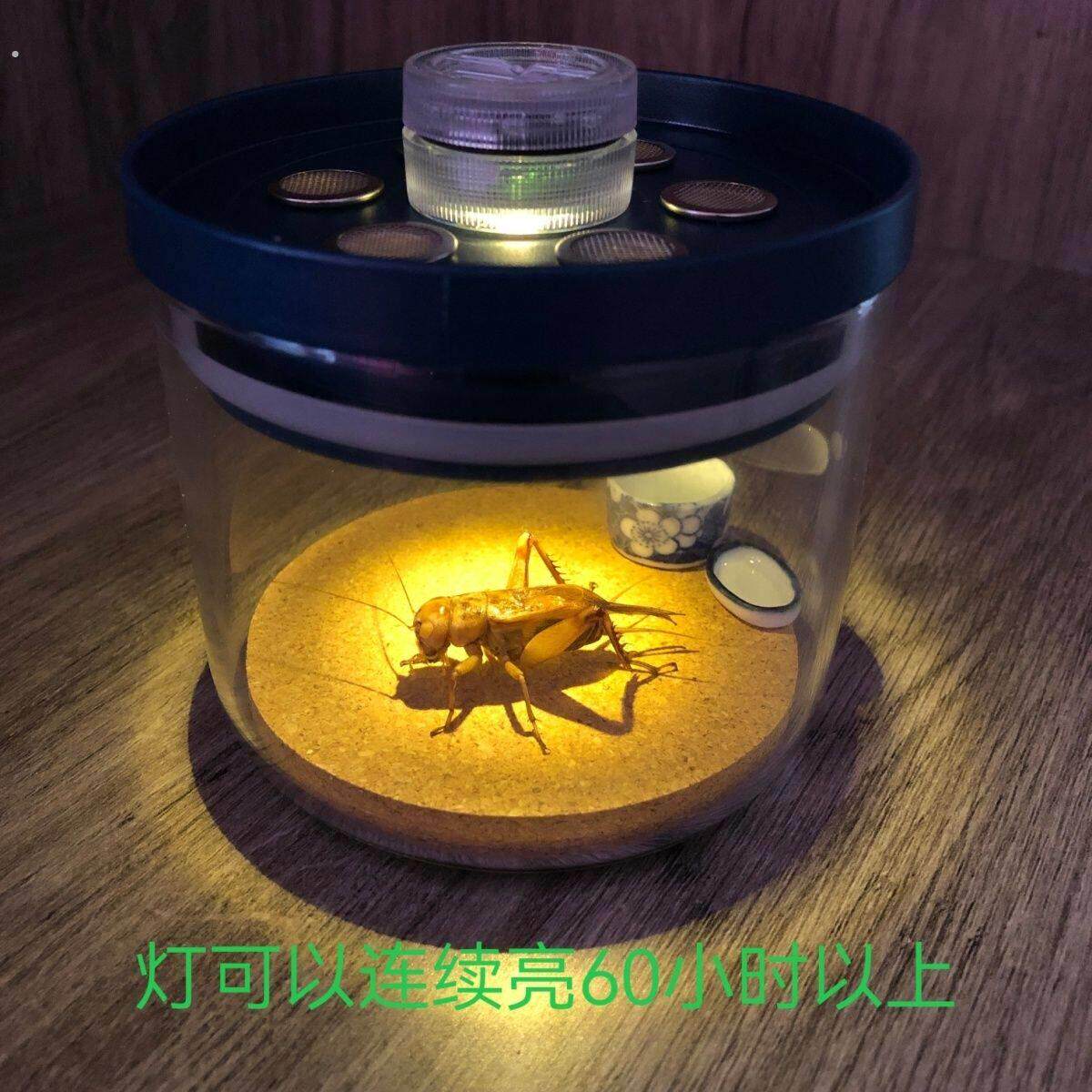 玻璃油葫芦蛐蛐罐倒叫罐用于各种鸣虫小型爬虫送水碗送食槽