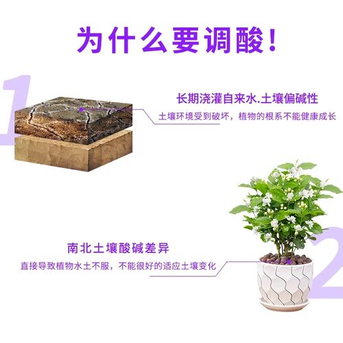酸宝宝硫酸亚铁养花肥料喜酸植物防黄叶土壤调酸通用花园水溶肥料