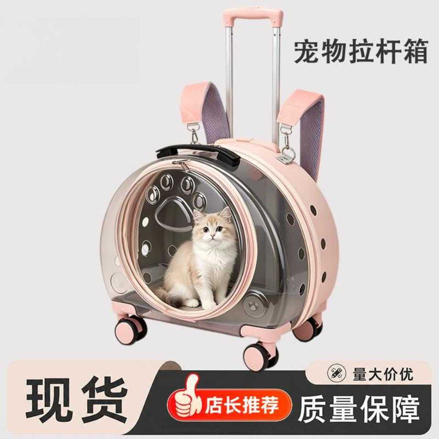 箱航空箱外出箱便携托运太空肩