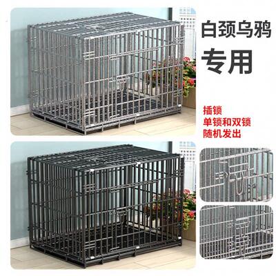 白颈乌鸦笼子专用特粗加粗鸟类不锈铁丝带天窗泰迪狗笼子猫兔宠物