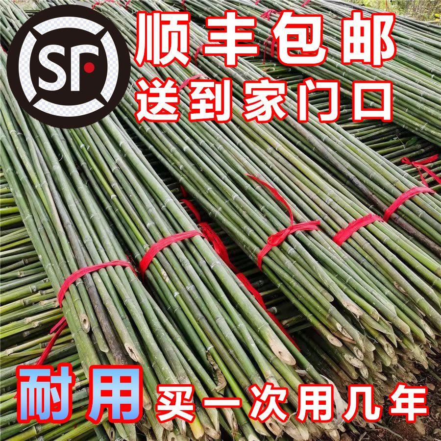 竹竿子菜园搭架豆角黄瓜番茄爬藤架篱笆围栏棋杆小竹竿瓜果细竹子