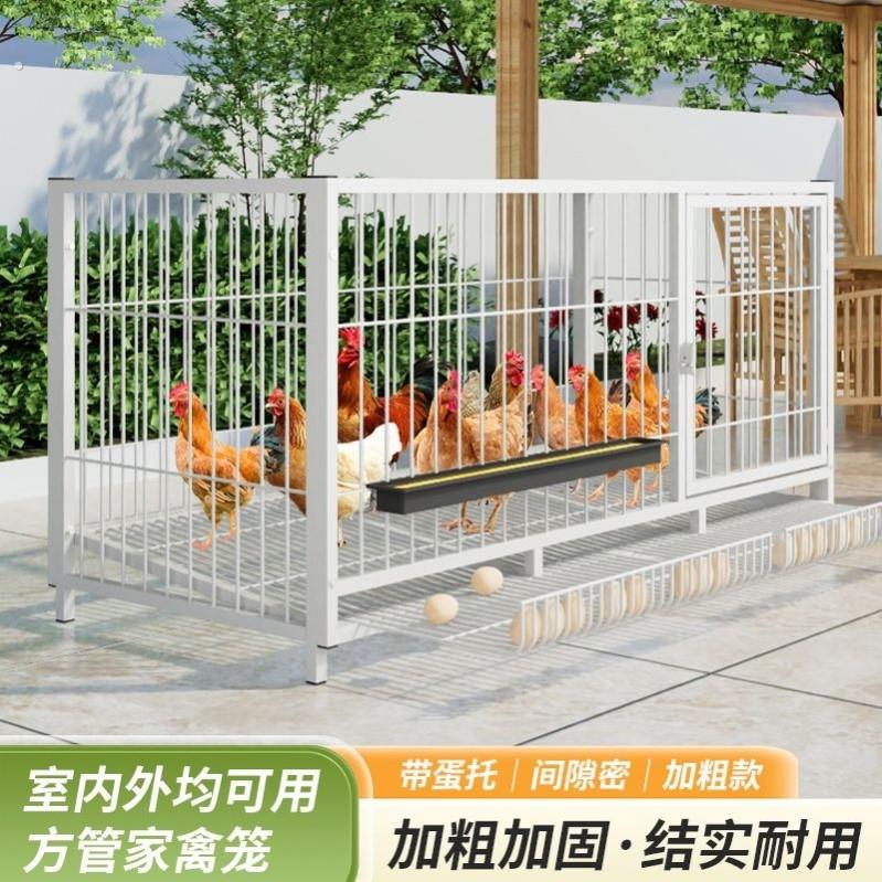 鸡笼子家用室外大号防雨农村专用养鸡笼防黄鼠狼加密铁丝网养殖笼图片