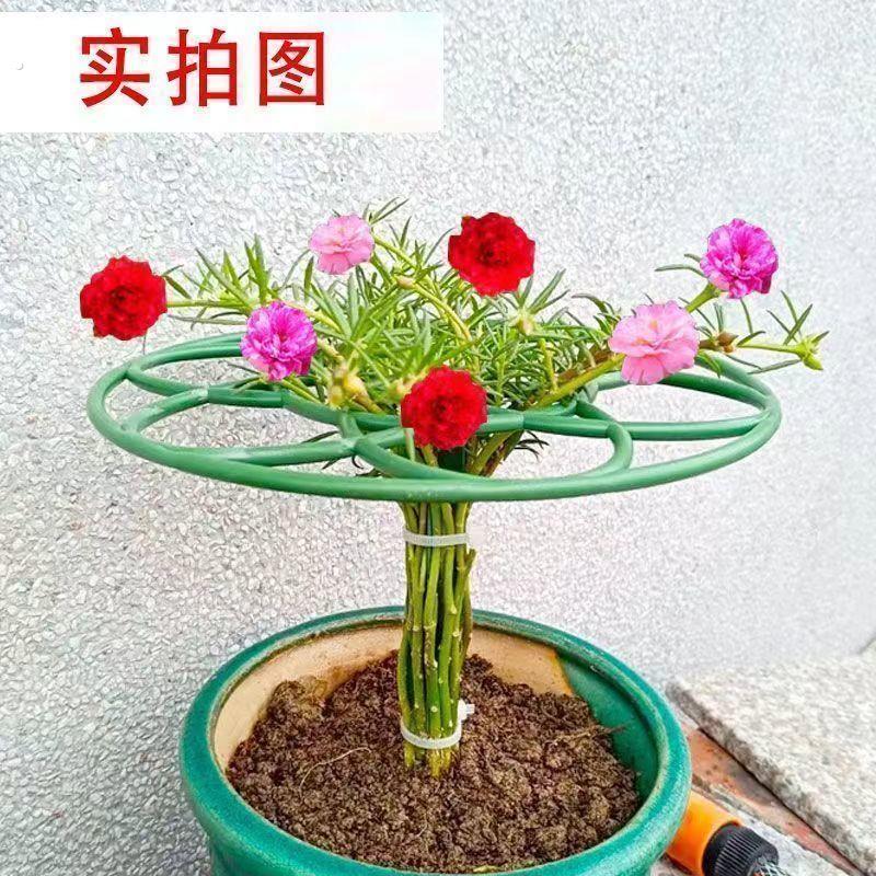 向日葵棒棒糖支架单层多层支撑架植物造型爬藤固定向日葵架子支撑