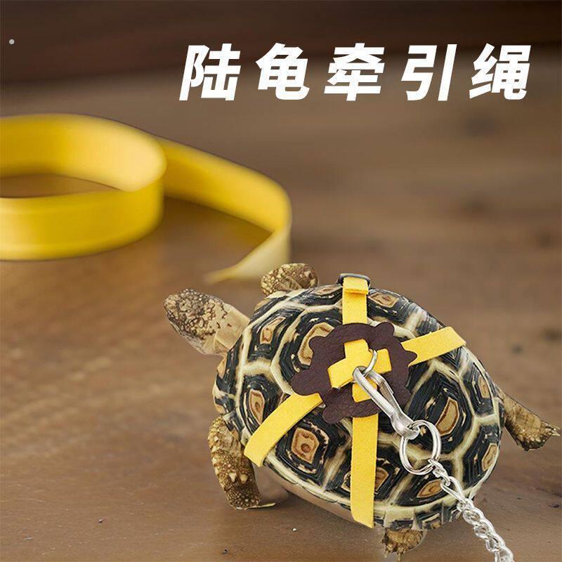 陆龟牵引绳溜龟绳外出牵绳背带人造皮爬宠乌龟户外便携遛龟绳